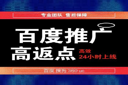 百度竞价代理的客户案例：如何实现ROI最大化